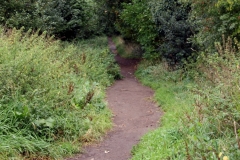 Path-to-Pex-Hill